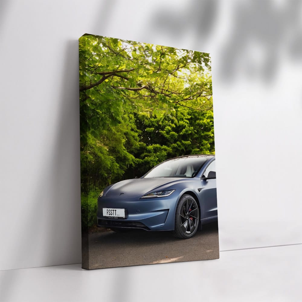 Tesla Model 3 Parked - Sleek and Innovative Design
