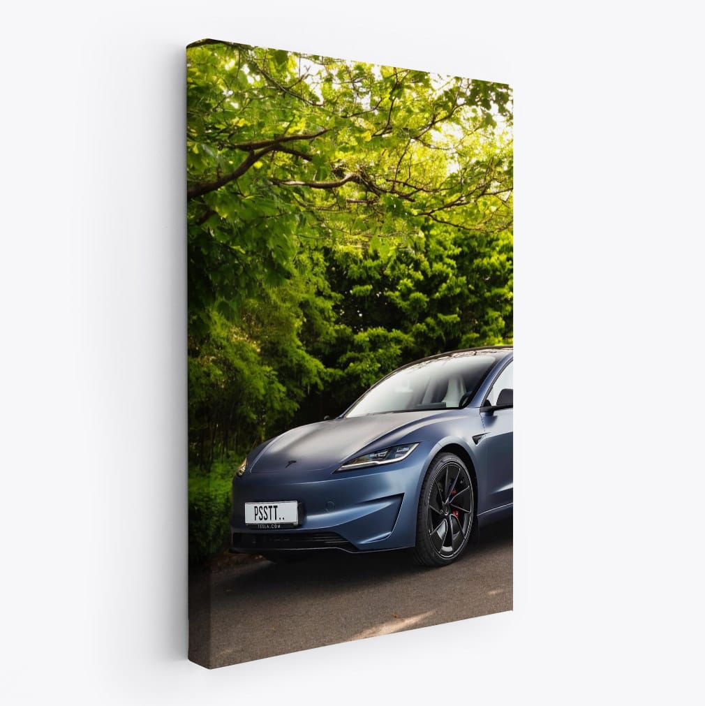 Tesla Model 3 Parked - Sleek and Innovative Design