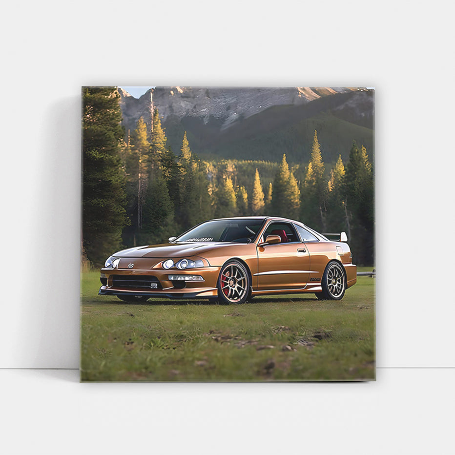 Brown Acura Integra Type R in Park - Speed Meets Style