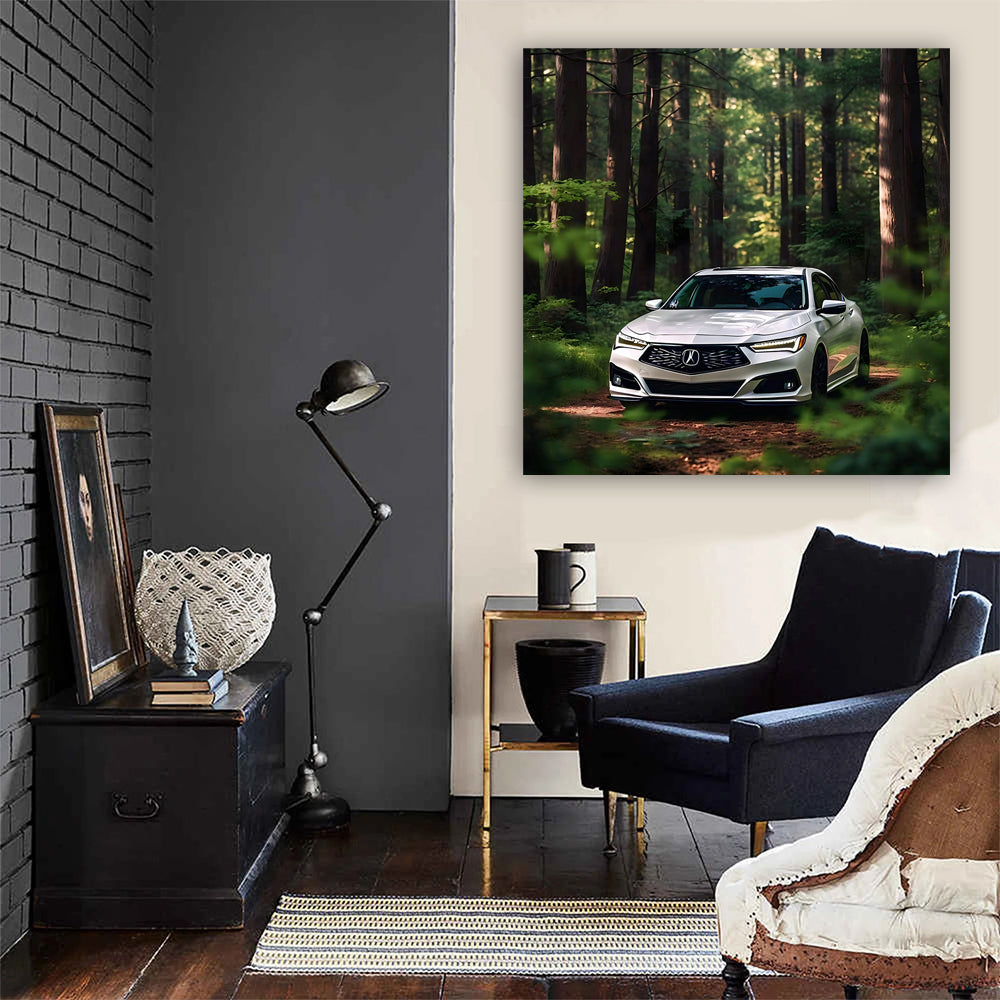 Acura TLX Type S in White - Elegance Meets Adventure
