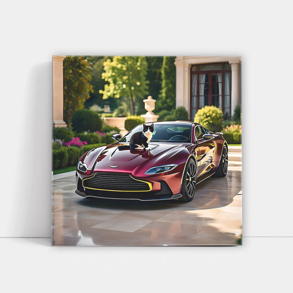 Burgundy Aston Martin Vantage with Cat - Elegance on Wheels