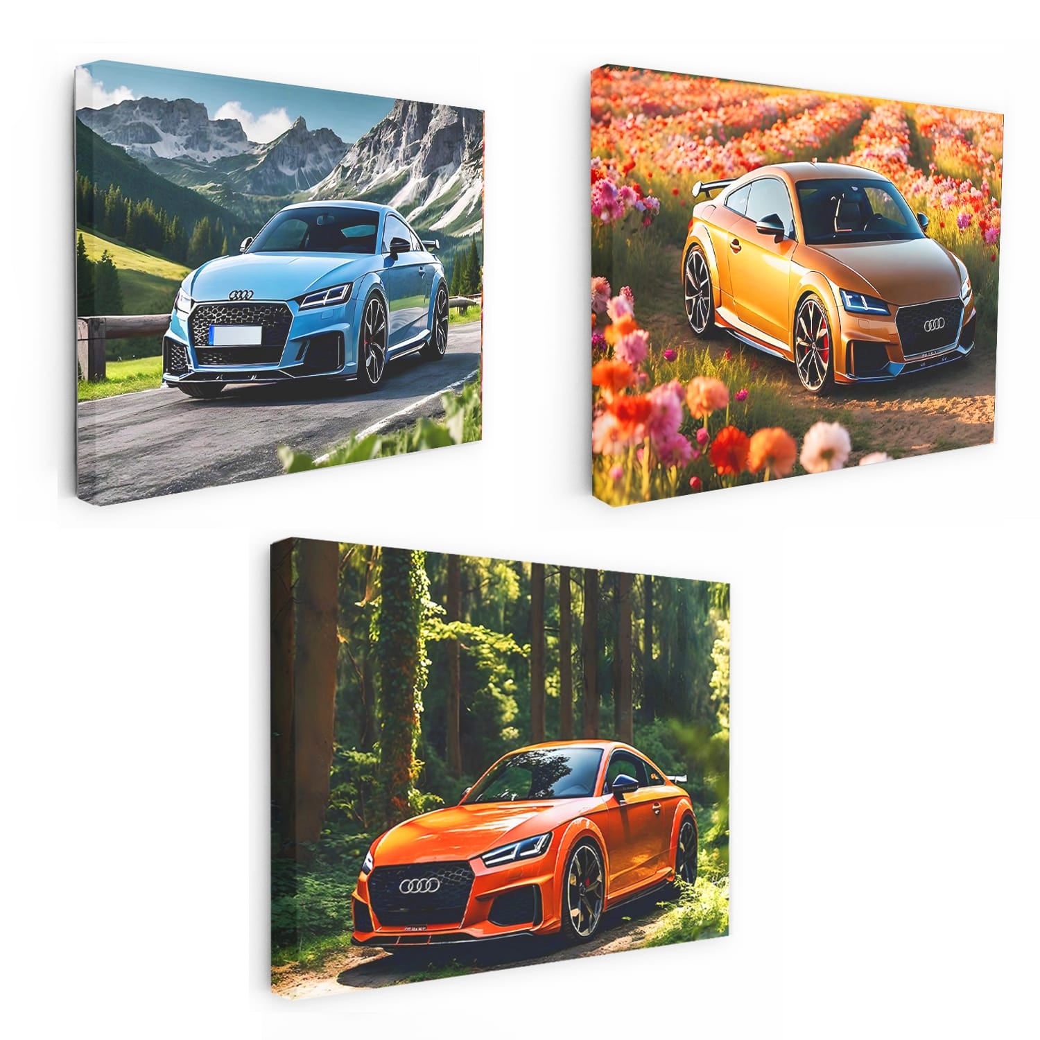 Audi Nature Set of 3