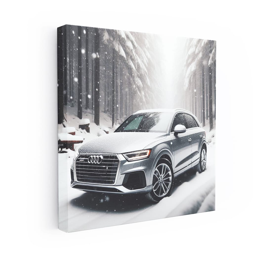 Audi Q3 Snowfa Wall Art