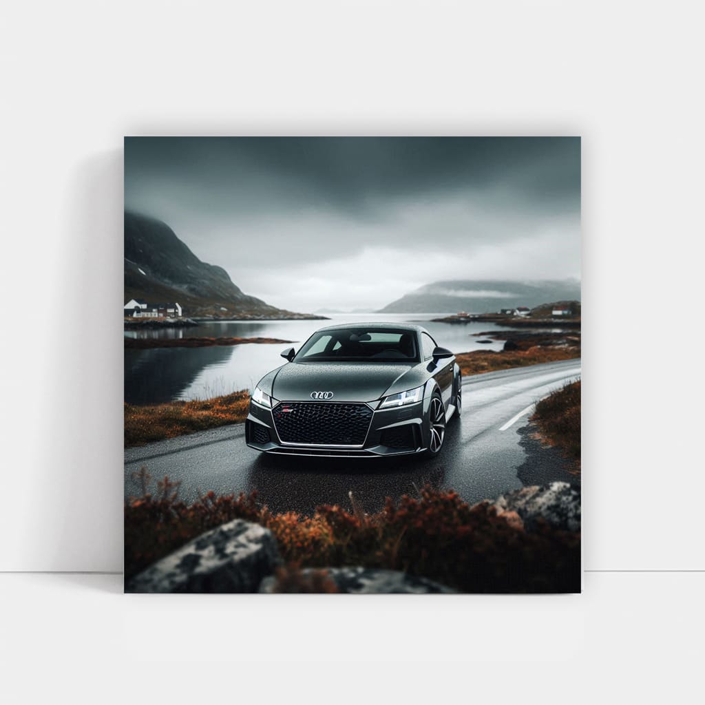 Audi TT RS in Overcast - Performance Meets Style