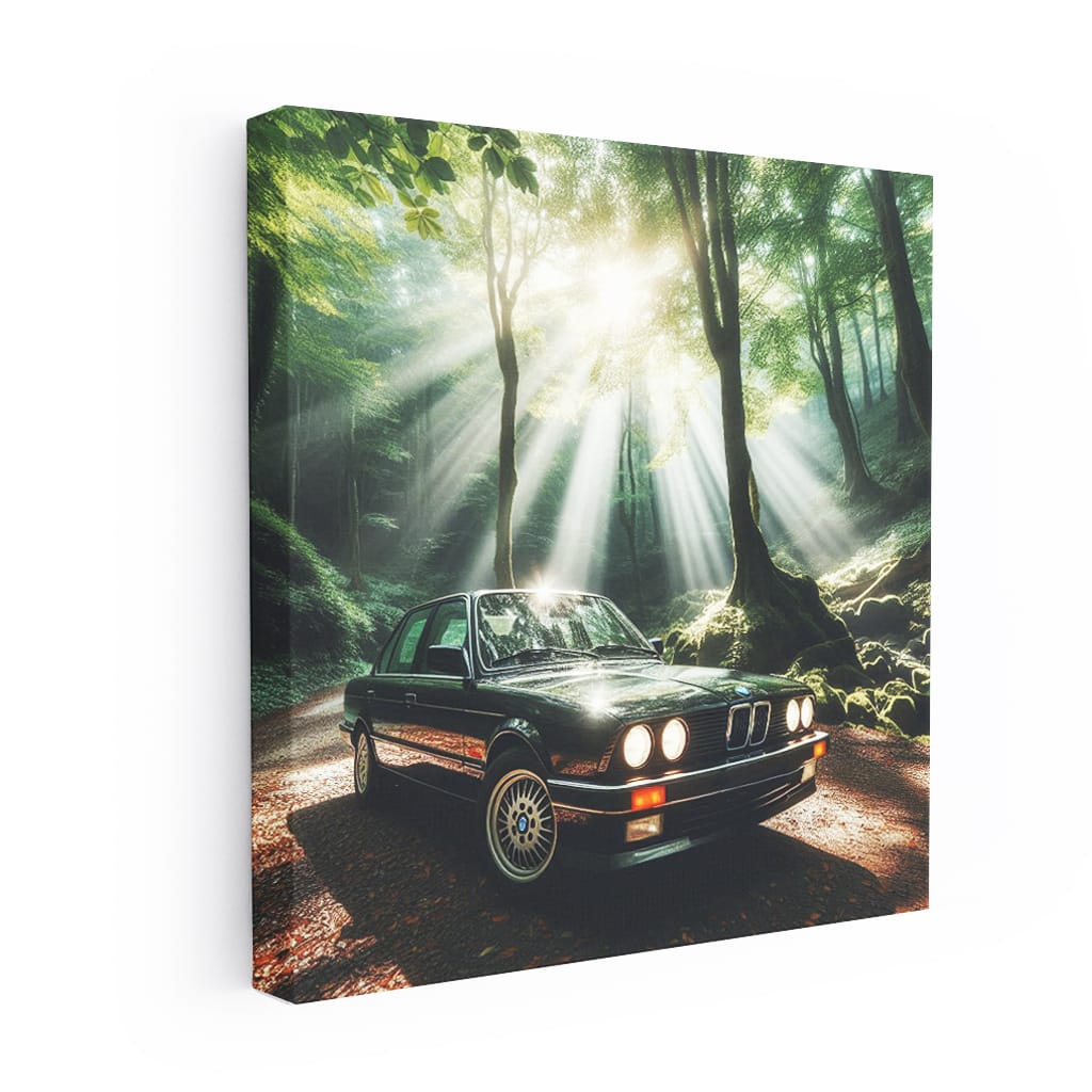 Bmw Series E30 Nature Wall Art