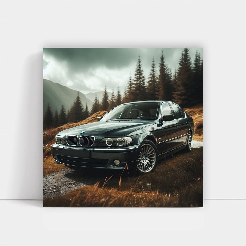 Bmw 7 Series E65 Natu Wall Art