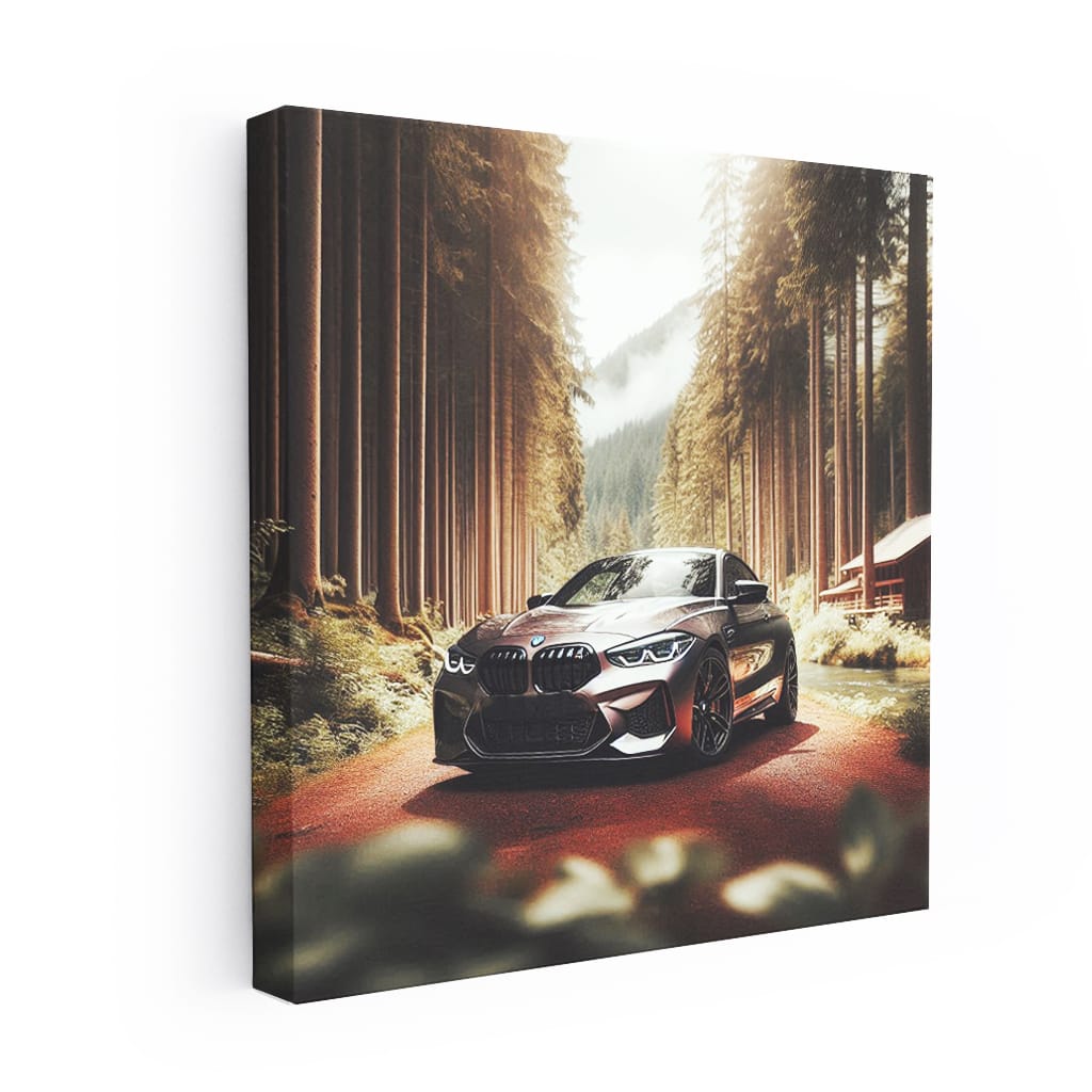 Bmw M National Pa Wall Art