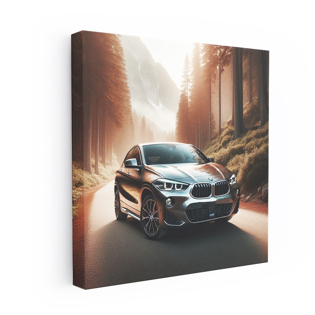 Bmw X2 National Park Wall Art