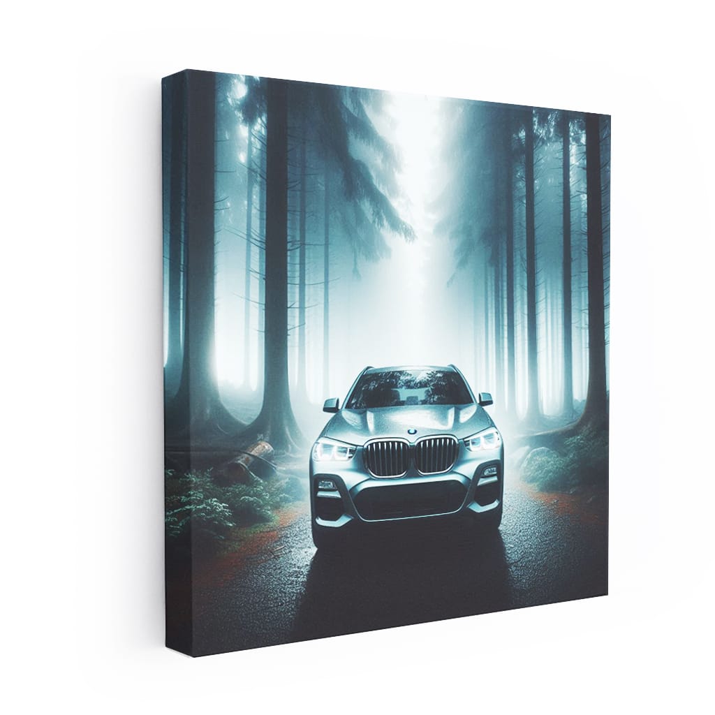 Bmw X3 Fog Wall Art