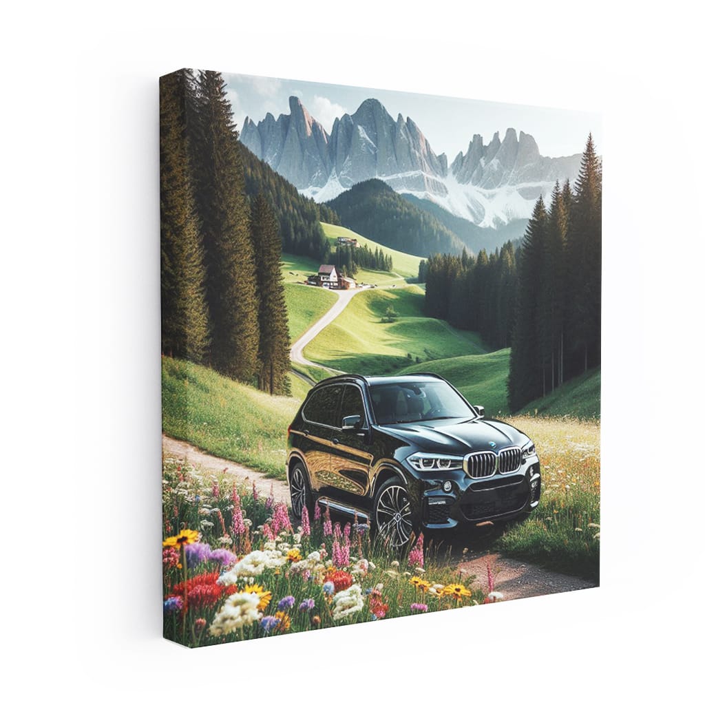 Bmw X5m Valley Wall Art