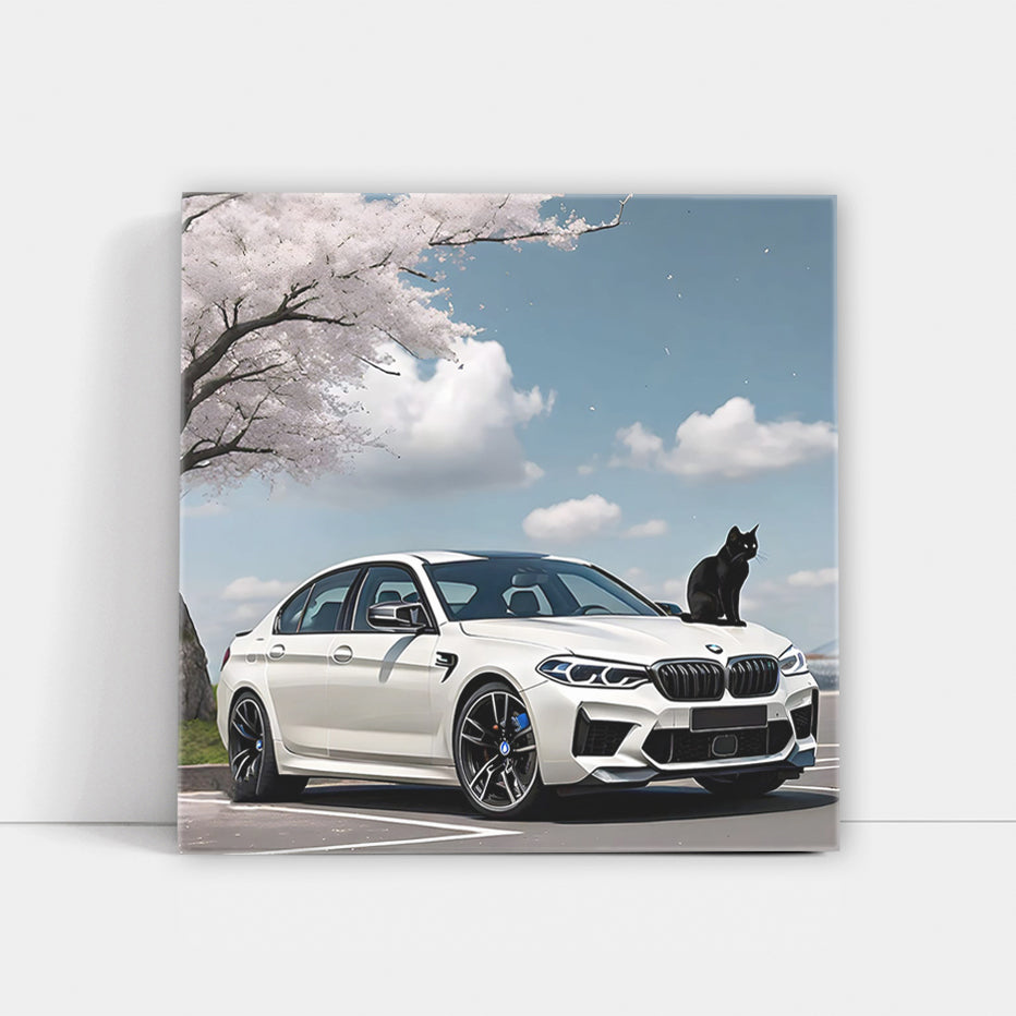 Bmw M5 White With Ca Wall Art