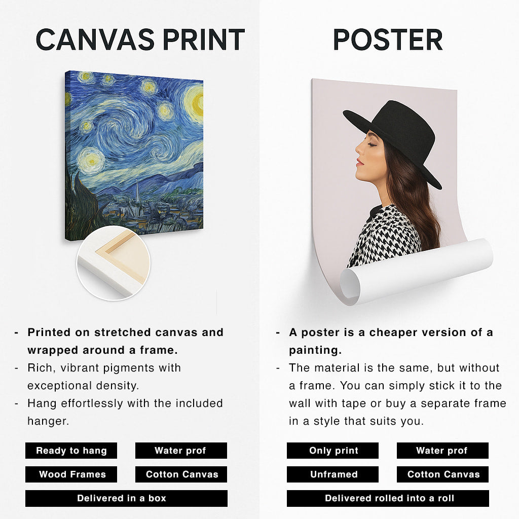 Zebra: A Look into Black and White Infinity