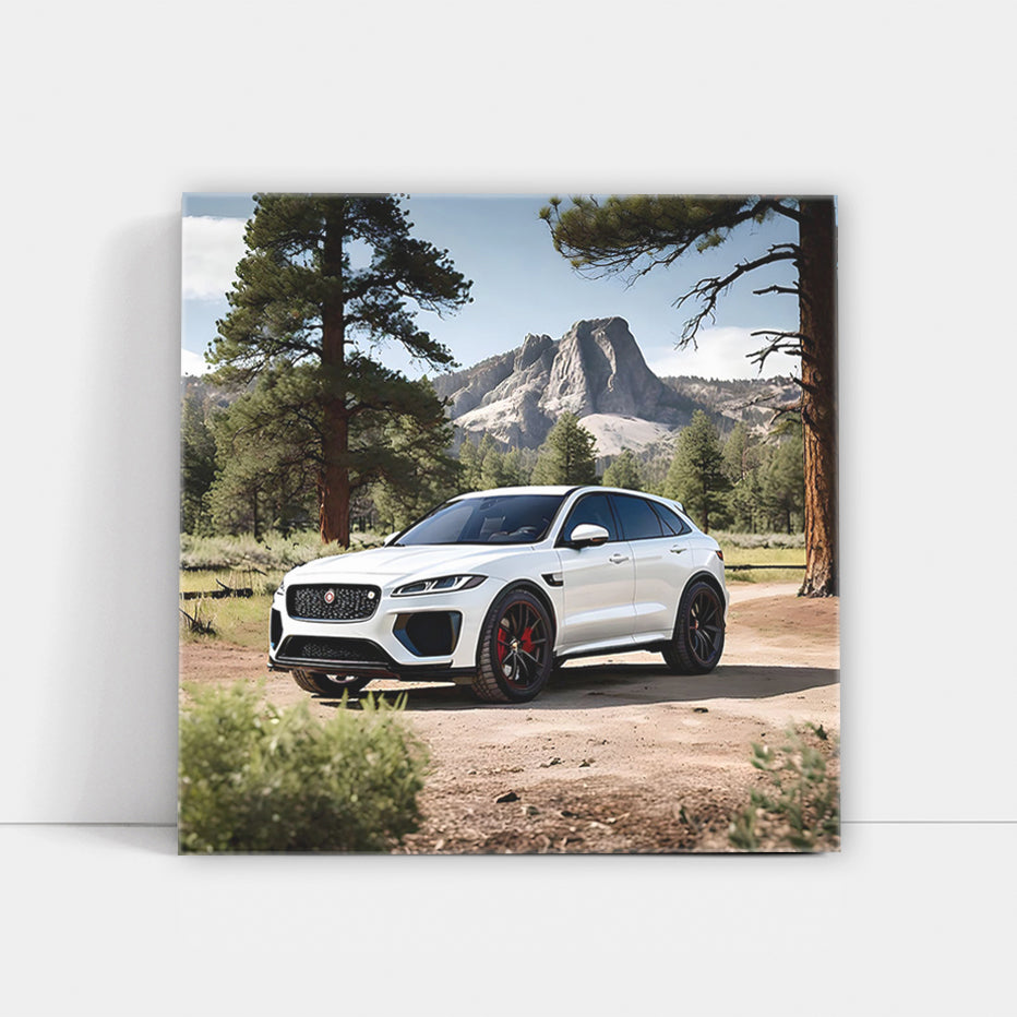 White Jaguar F-Pace SVR in National Park - Power and Elegance