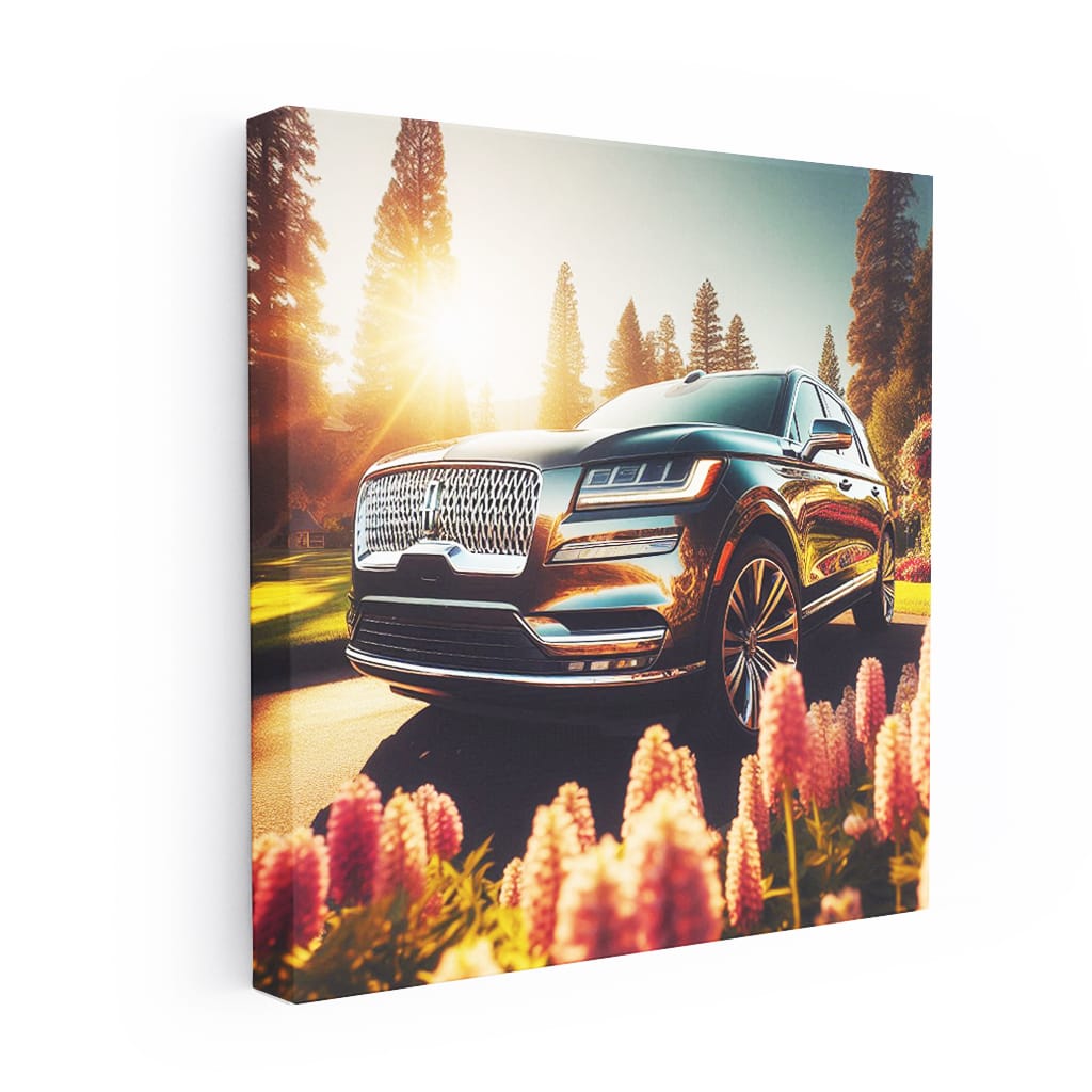 Lincoln Aviator Sunny Weather Wall Art