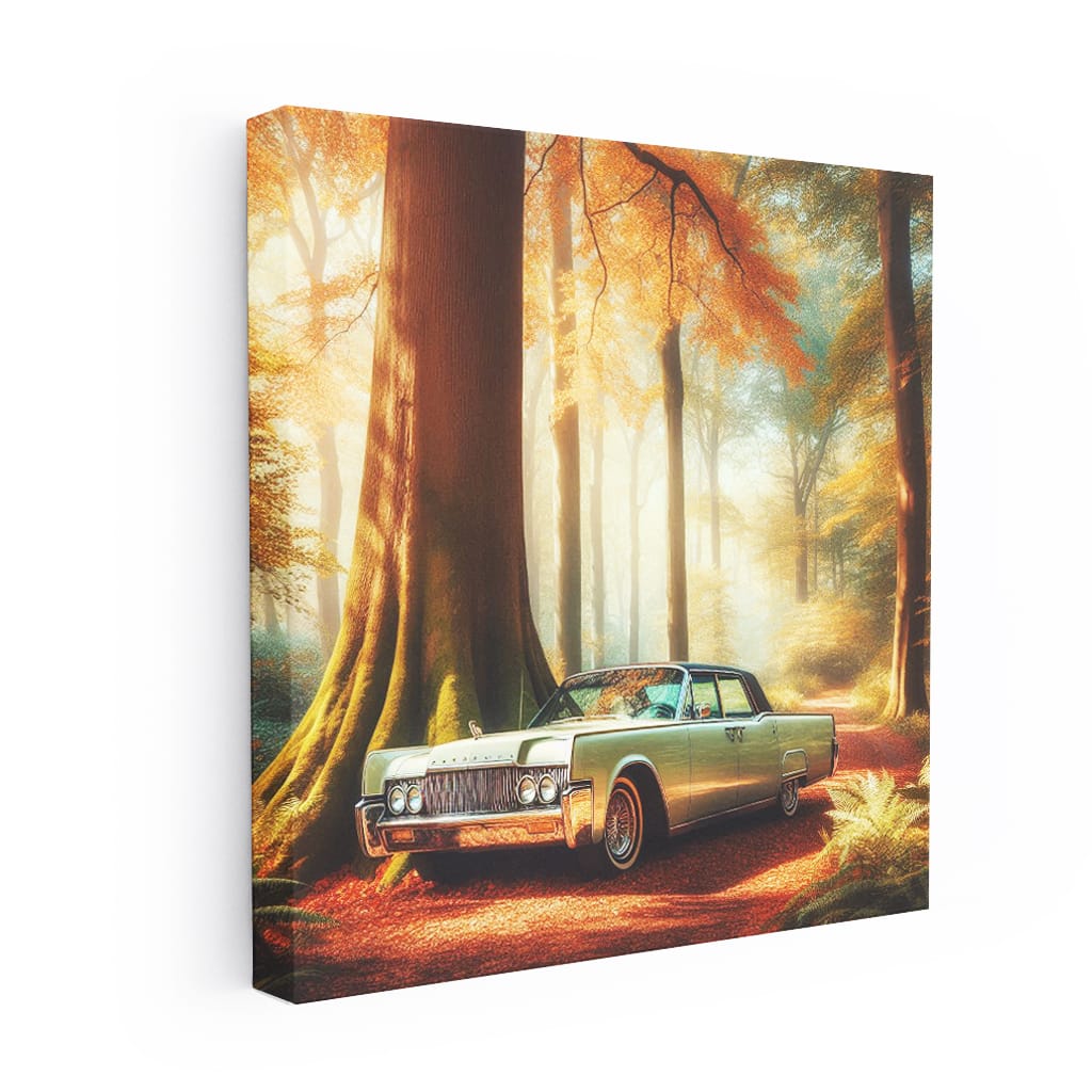 Lincoln Continental Natu Wall Art