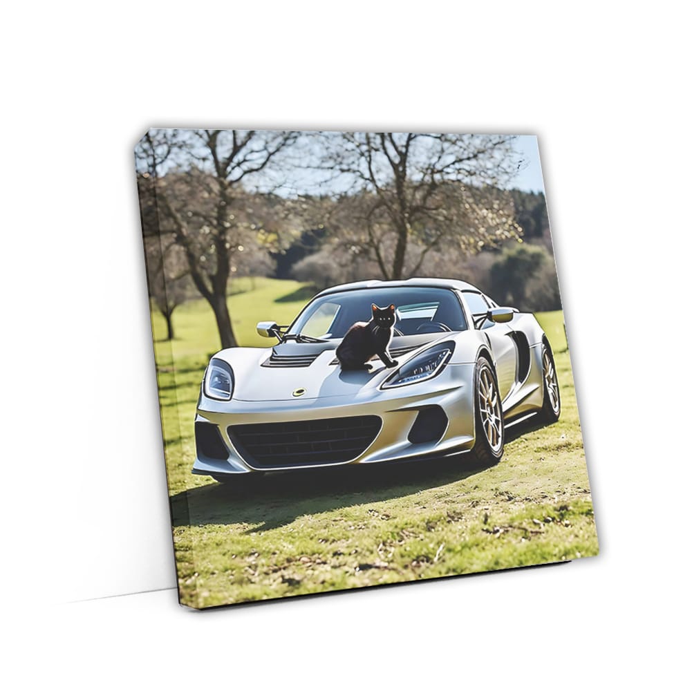 Lotus Elise Silver With Ca Wall Art