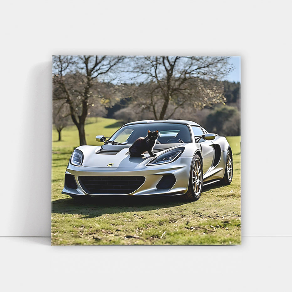 Lotus Elise Silver With Ca Wall Art