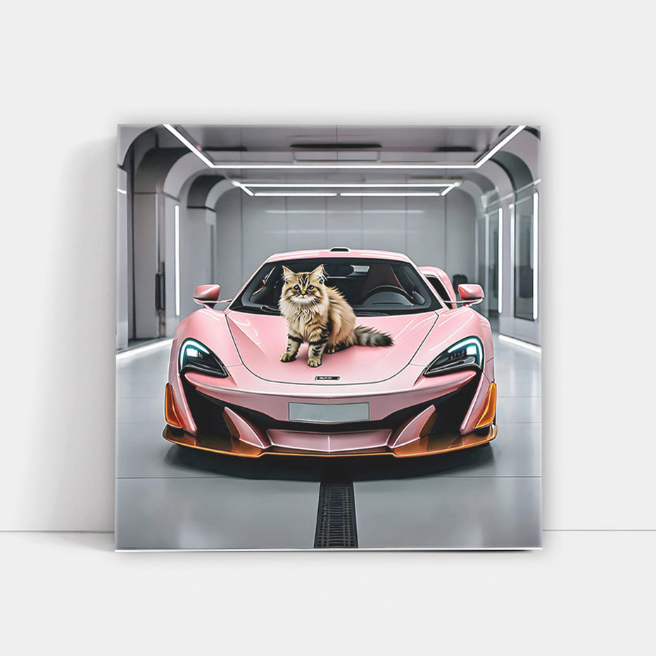 Pink McLaren 600LT with Cat - Fast, Stylish, Unique