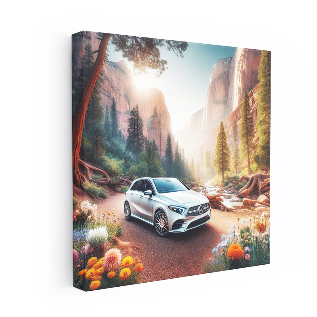 Mercedesbenz Bclass New Cany Wall Art