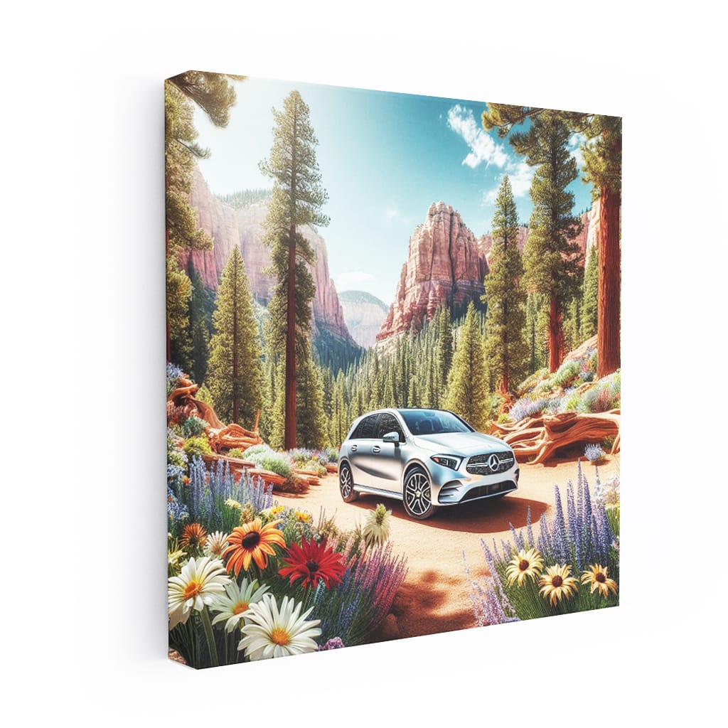 Mercedesbenz Bclass New Canyon Wall Art