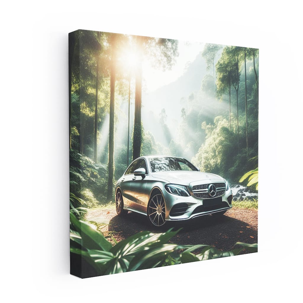 Mercedesbenz Cclass New Valley Wall Art