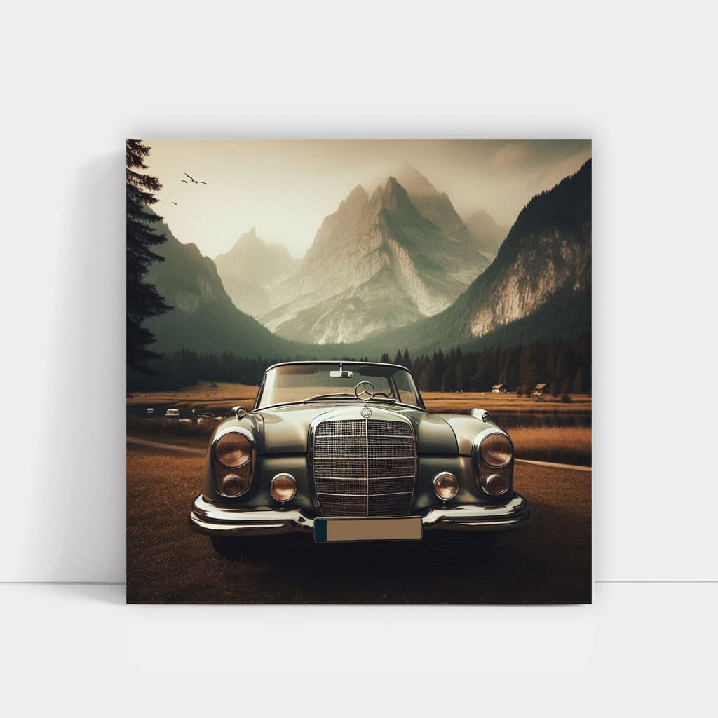 Vintage Mercedes-Benz in National Park - Classic Elegance