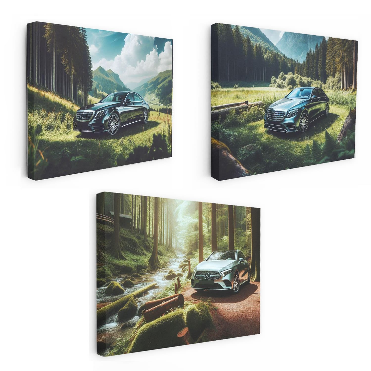 Mercedes In Forest Set of 3