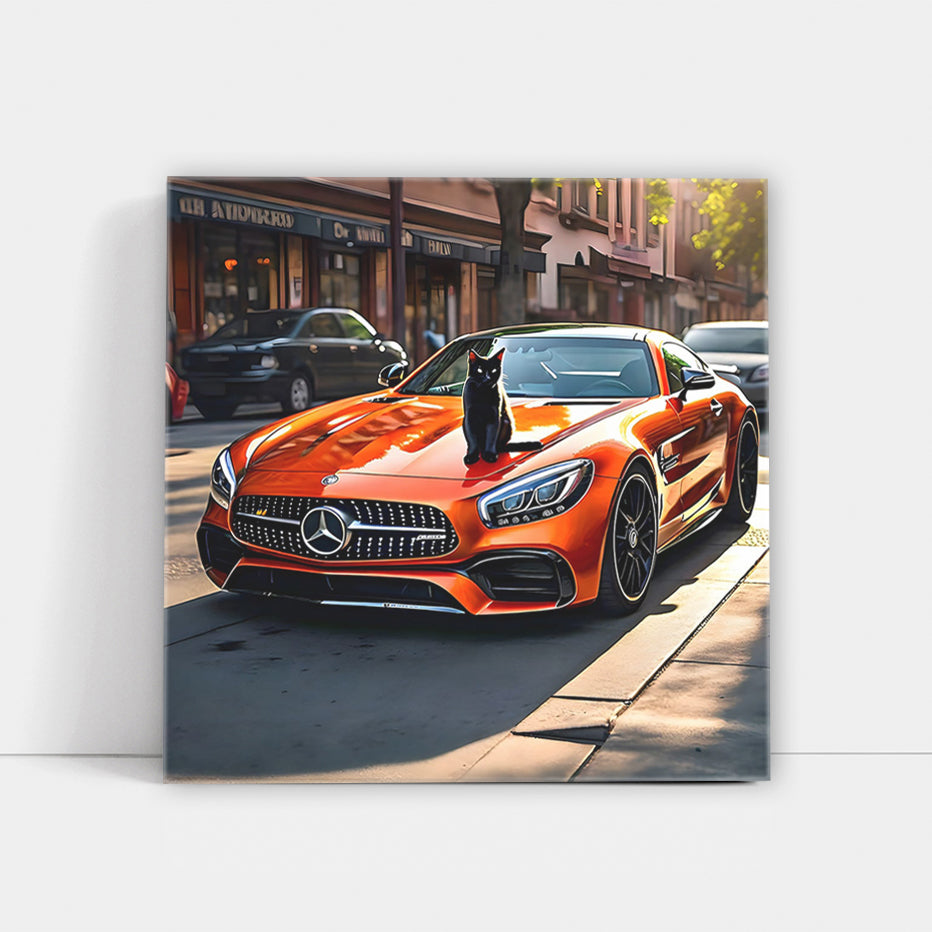 Orange Mercedes AMG GT with Cat in Melbourne - Pure Elegance