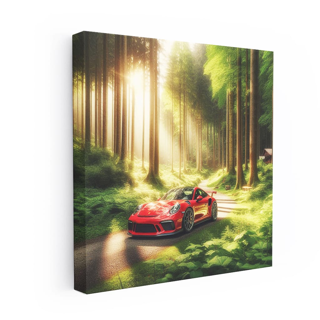 Porsche 911 Gt3 Natu Wall Art