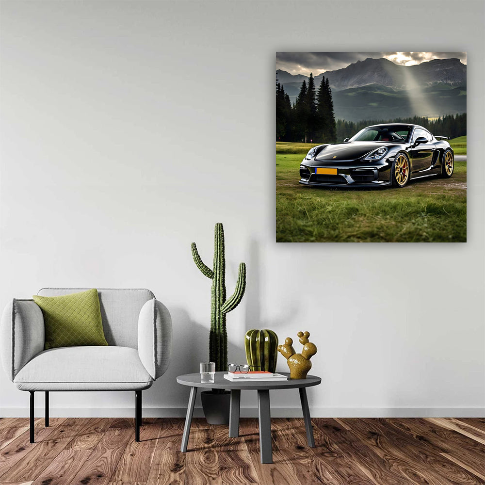 Black Porsche Cayman Roams Scenic National Park - Sporty Elegance