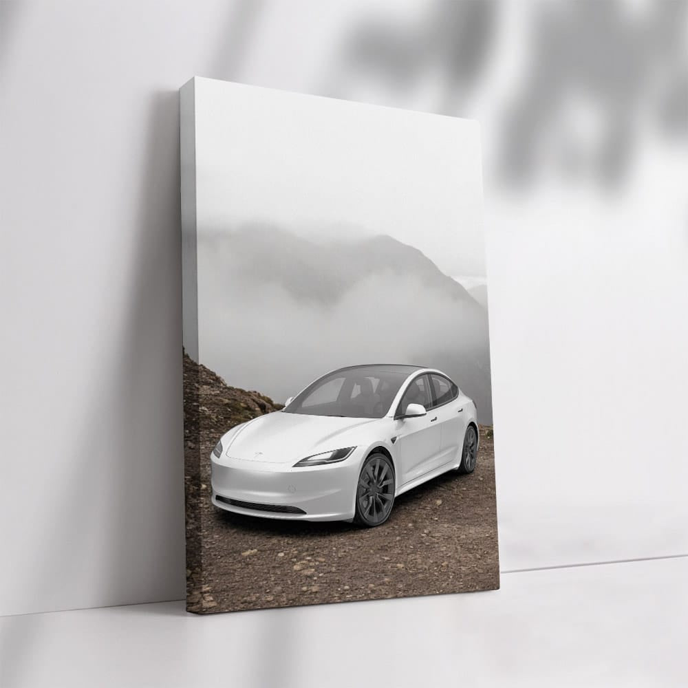 Tesla Model 3 atop Mountain - Power Meets Adventure - EnjoyStore