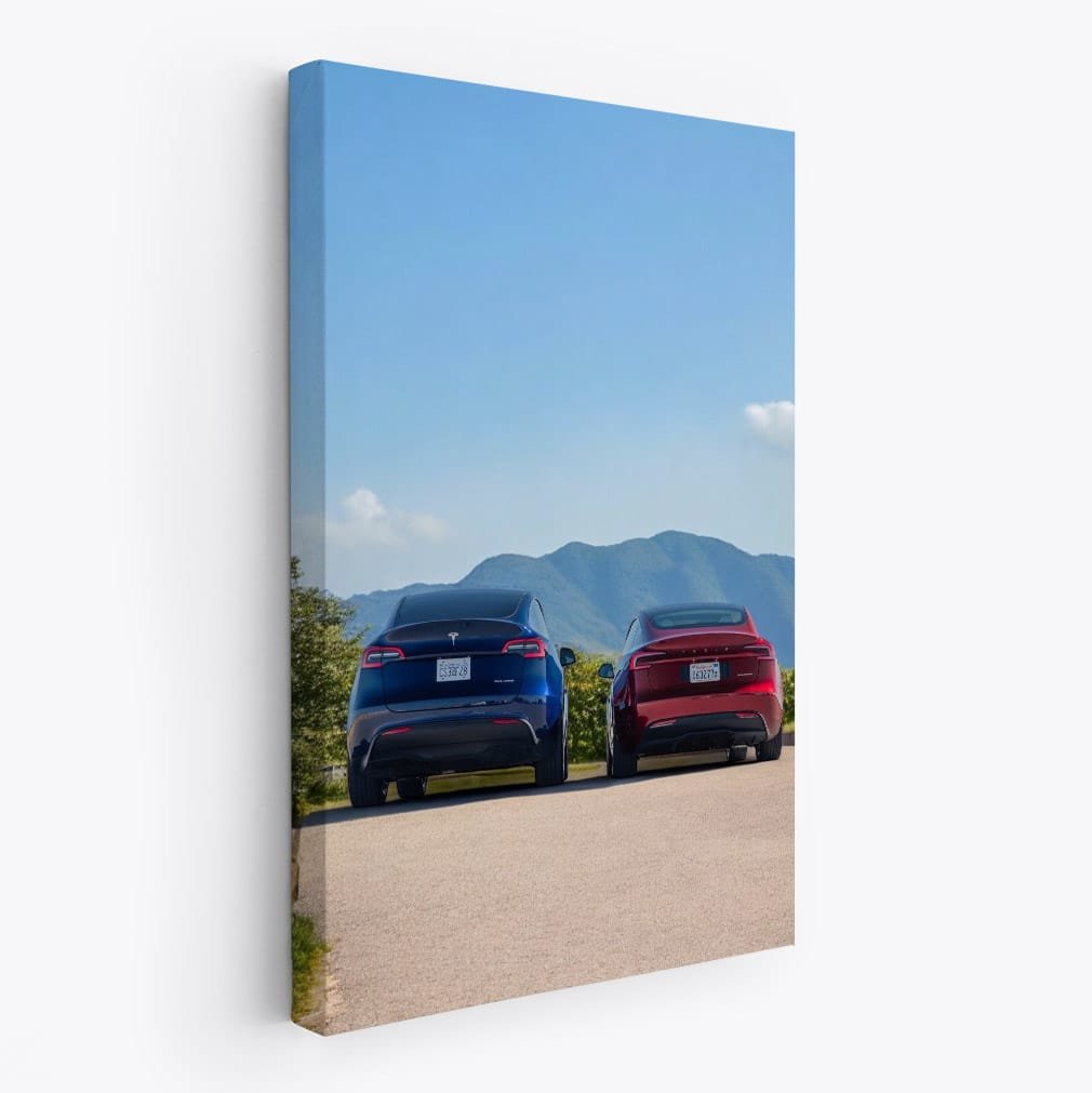 Tesla Model 3 in Driveway, Scenic Mountains Backdrop - Futuristic - EnjoyStore