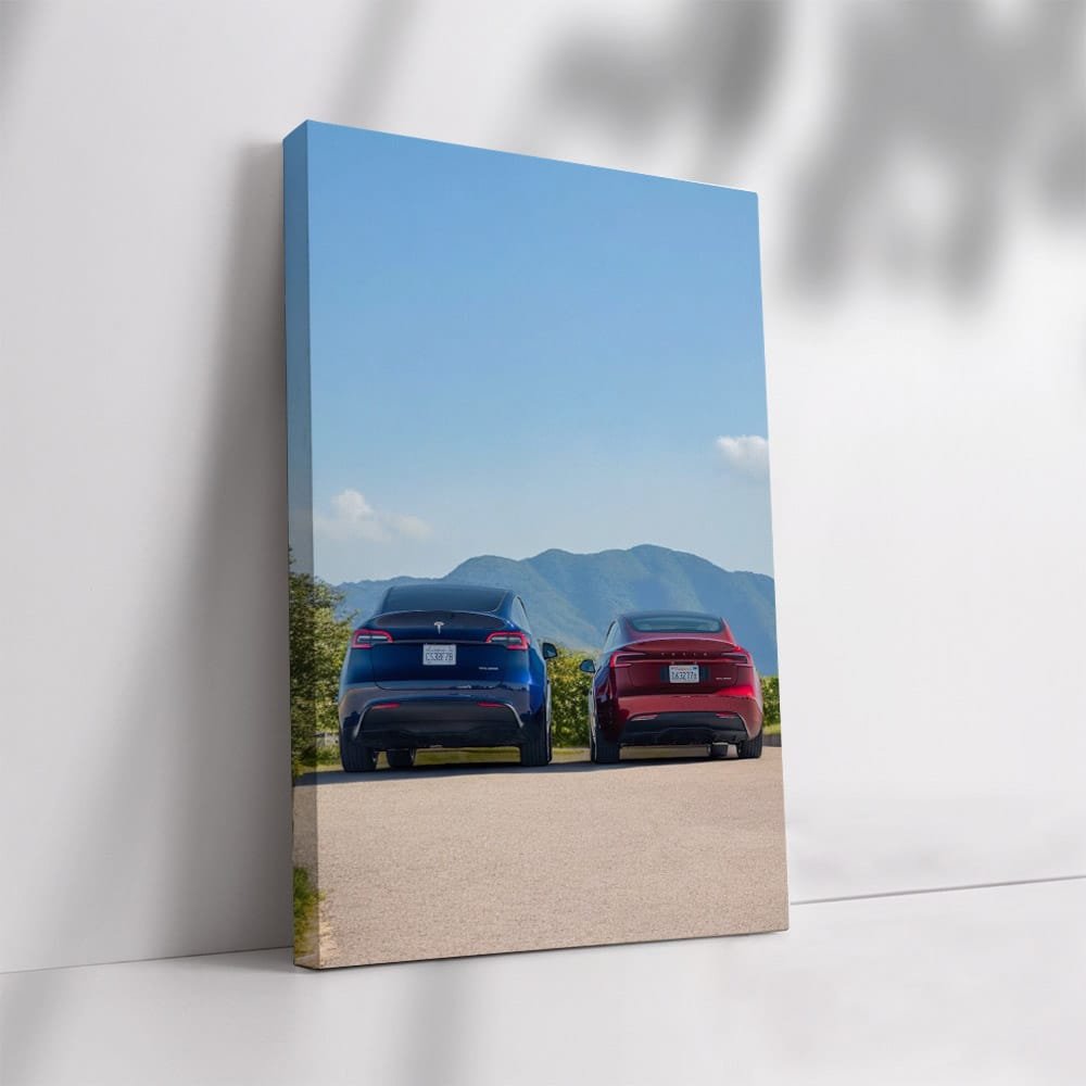 Tesla Model 3 in Driveway, Scenic Mountains Backdrop - Futuristic - EnjoyStore