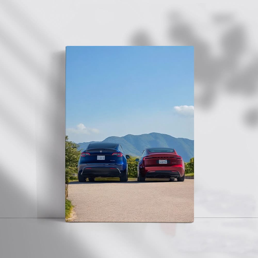 Tesla Model 3 in Driveway, Scenic Mountains Backdrop - Futuristic - EnjoyStore