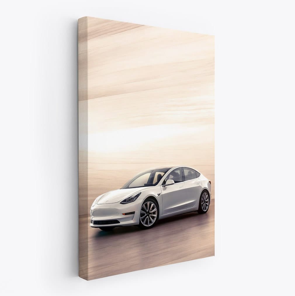 Tesla Model 3 Parked - Sleek, Innovative, Electric Drive - EnjoyStore