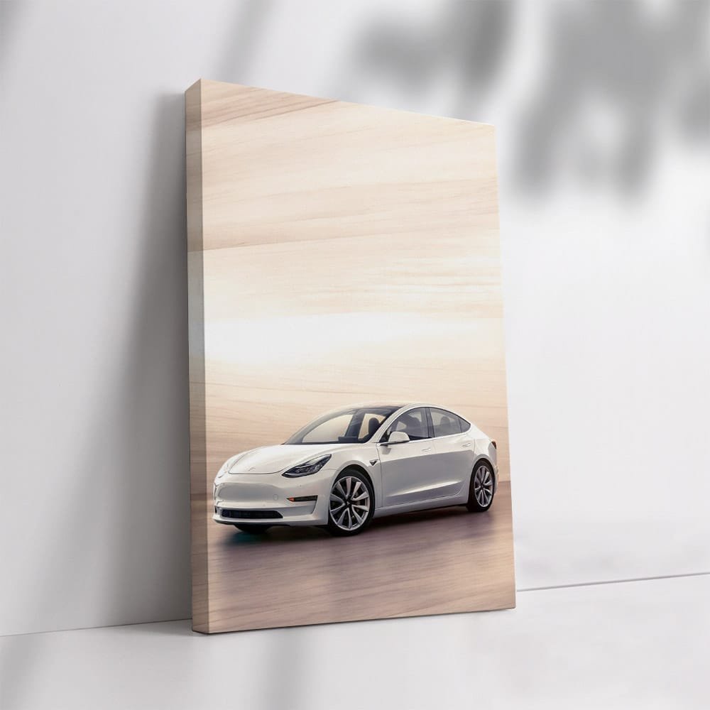 Tesla Model 3 Parked - Sleek, Innovative, Electric Drive - EnjoyStore