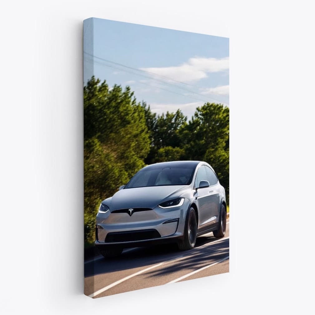 Tesla Model X Cruising on Sunny Day - Innovation in Motion - EnjoyStore