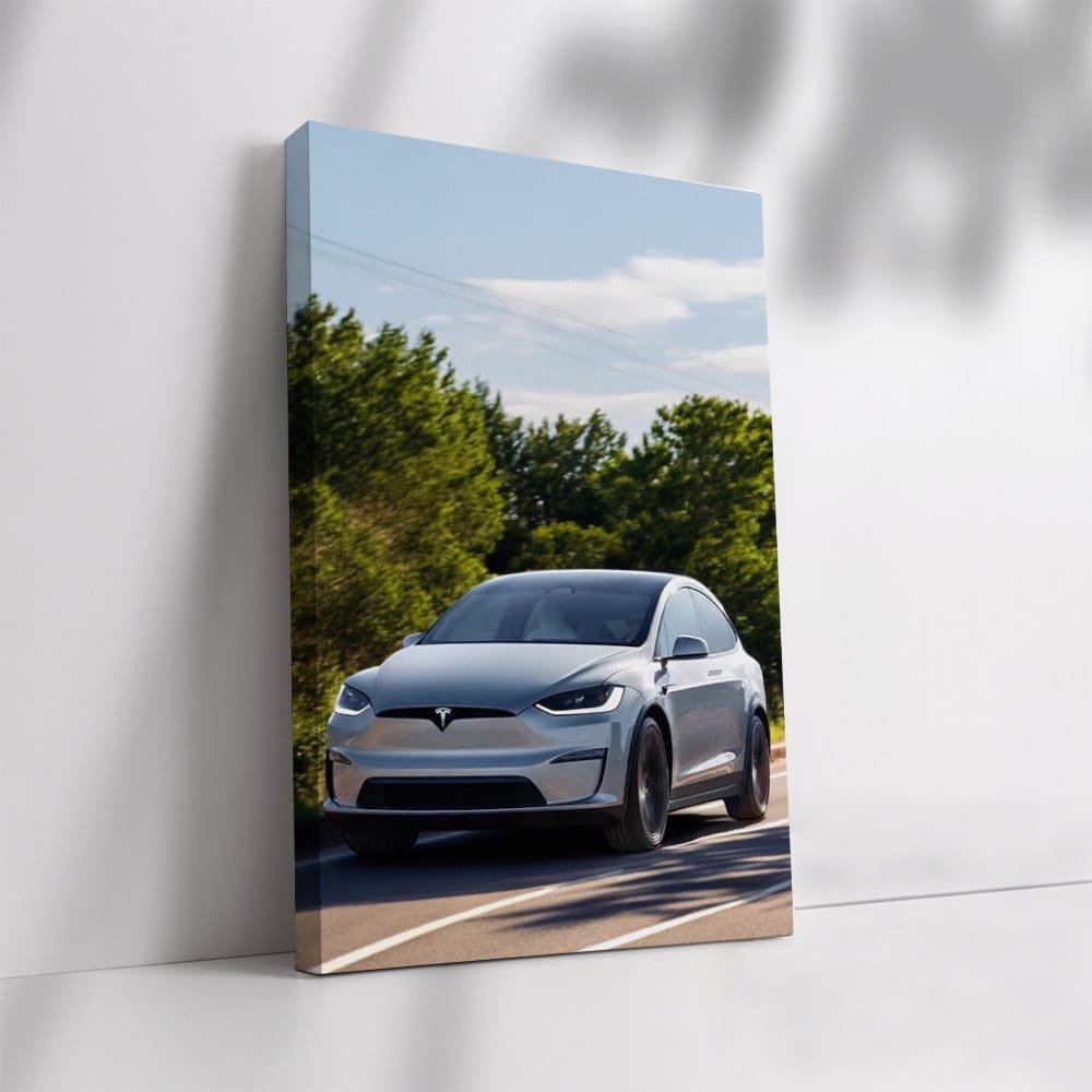 Tesla Model X Cruising on Sunny Day - Innovation in Motion - EnjoyStore
