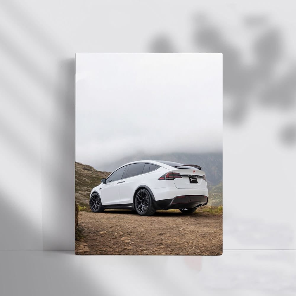 Tesla Model X in Mountain Landscape - Electric Adventure - EnjoyStore
