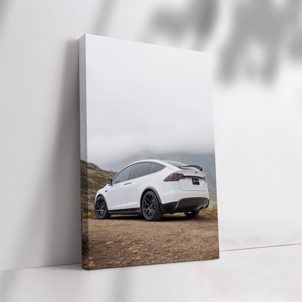 Tesla Model X in Mountain Landscape - Electric Adventure - EnjoyStore