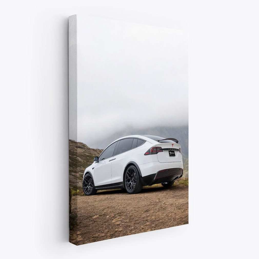 Tesla Model X in Mountain Landscape - Electric Adventure - EnjoyStore