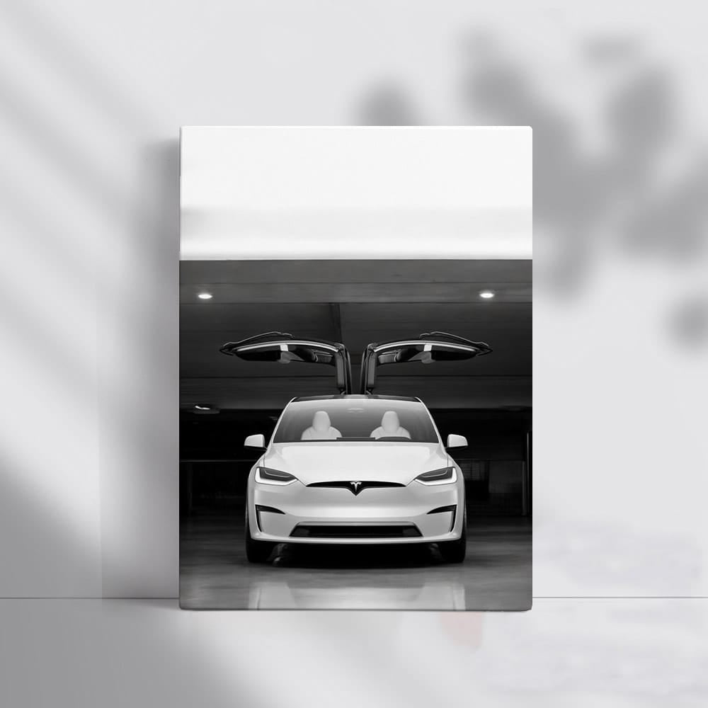 Tesla Model X Parked Elegantly - Future of Electric SUVs - EnjoyStore