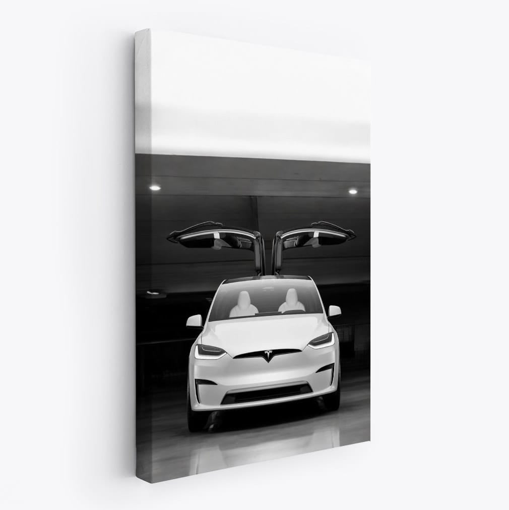 Tesla Model X Parked Elegantly - Future of Electric SUVs - EnjoyStore
