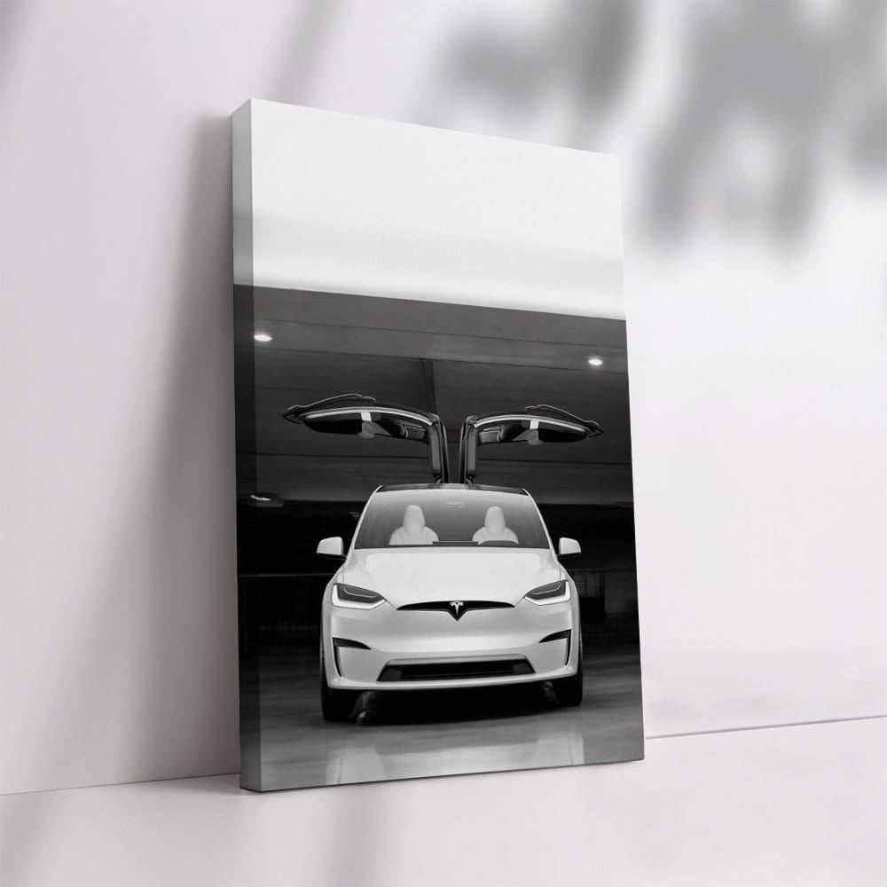Tesla Model X Parked Elegantly - Future of Electric SUVs - EnjoyStore