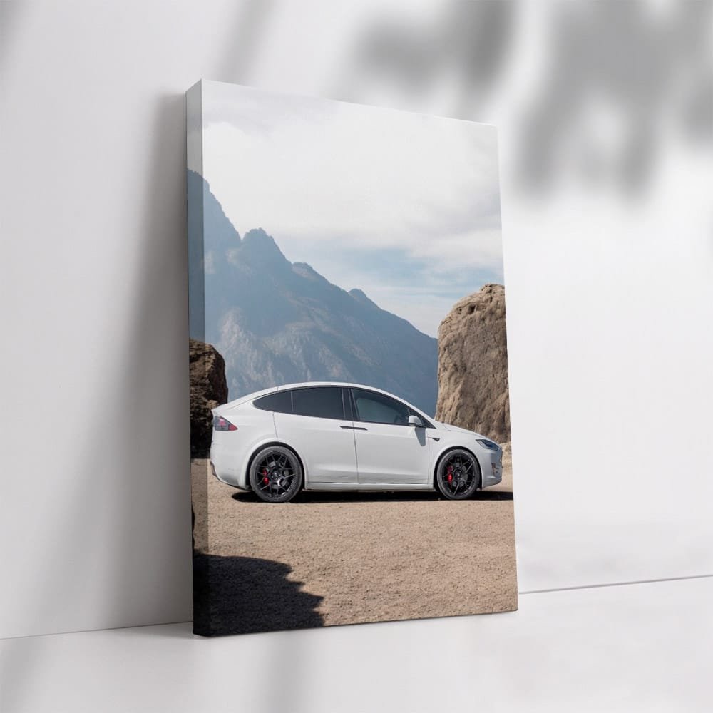 Tesla Model X Reaching Mountain Summit - Electrifying Power - EnjoyStore