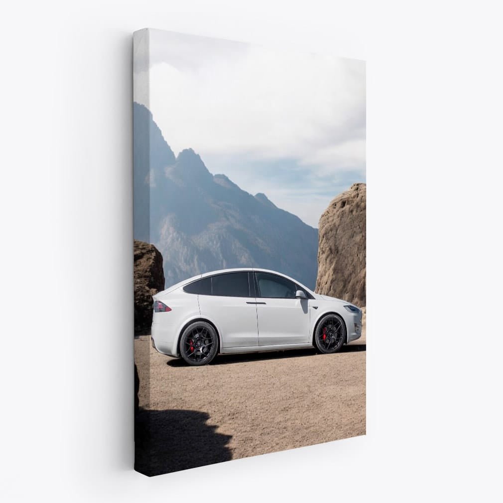 Tesla Model X Reaching Mountain Summit - Electrifying Power - EnjoyStore