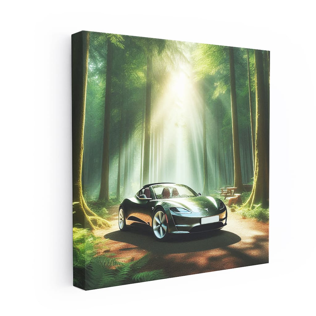 Tesla Roadster Nature Wall Art