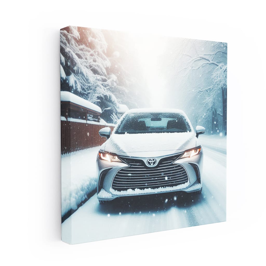 Toyota Avalon Snowfall Wall Art