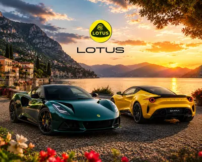 Lotus Wall Art