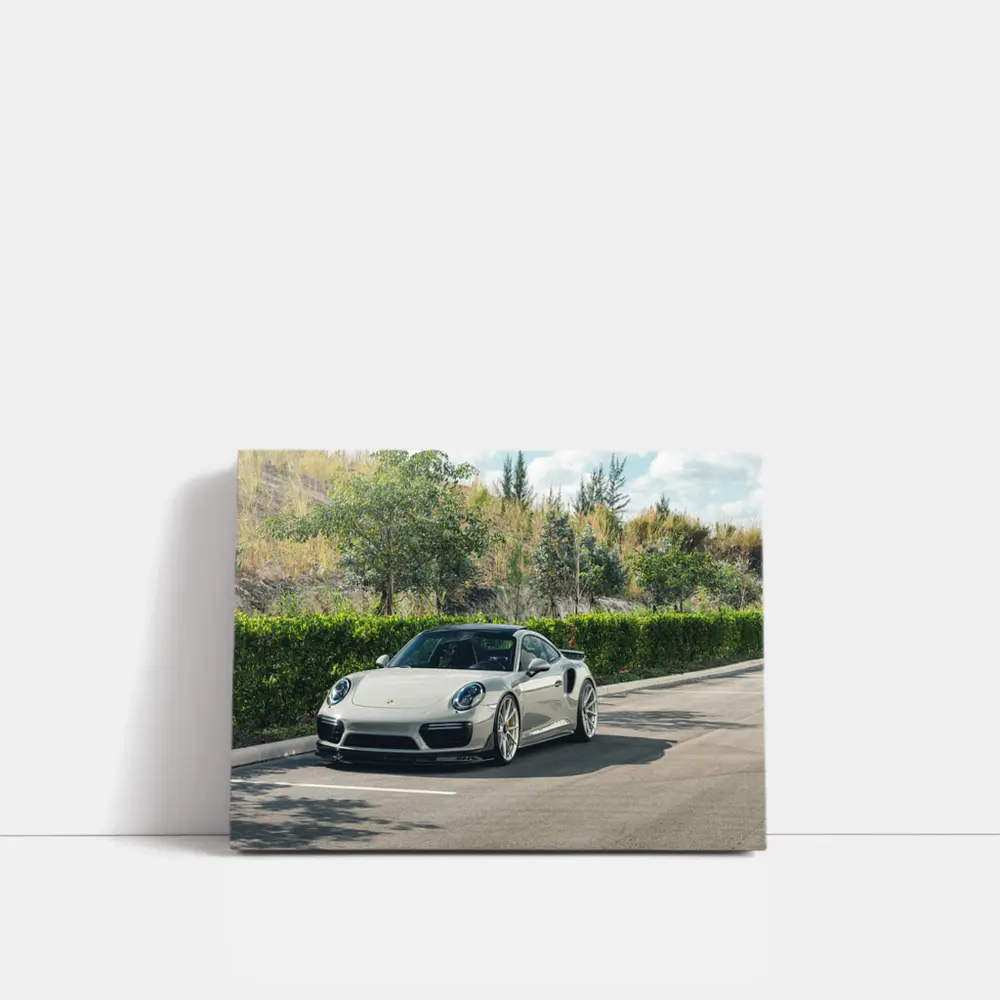 Porsche 911 Turbo Silver Parked Outdoors – Wall Art